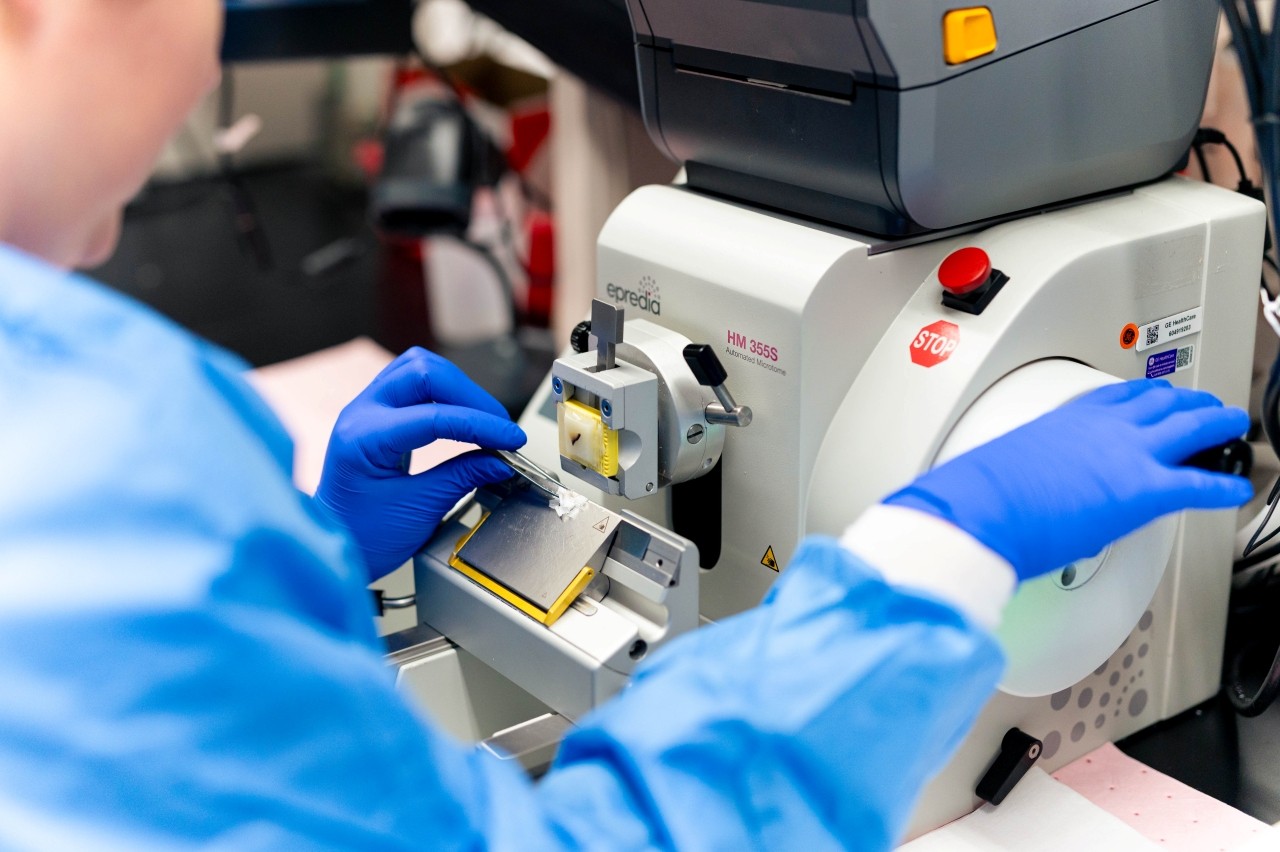 Specialist working in a lab.