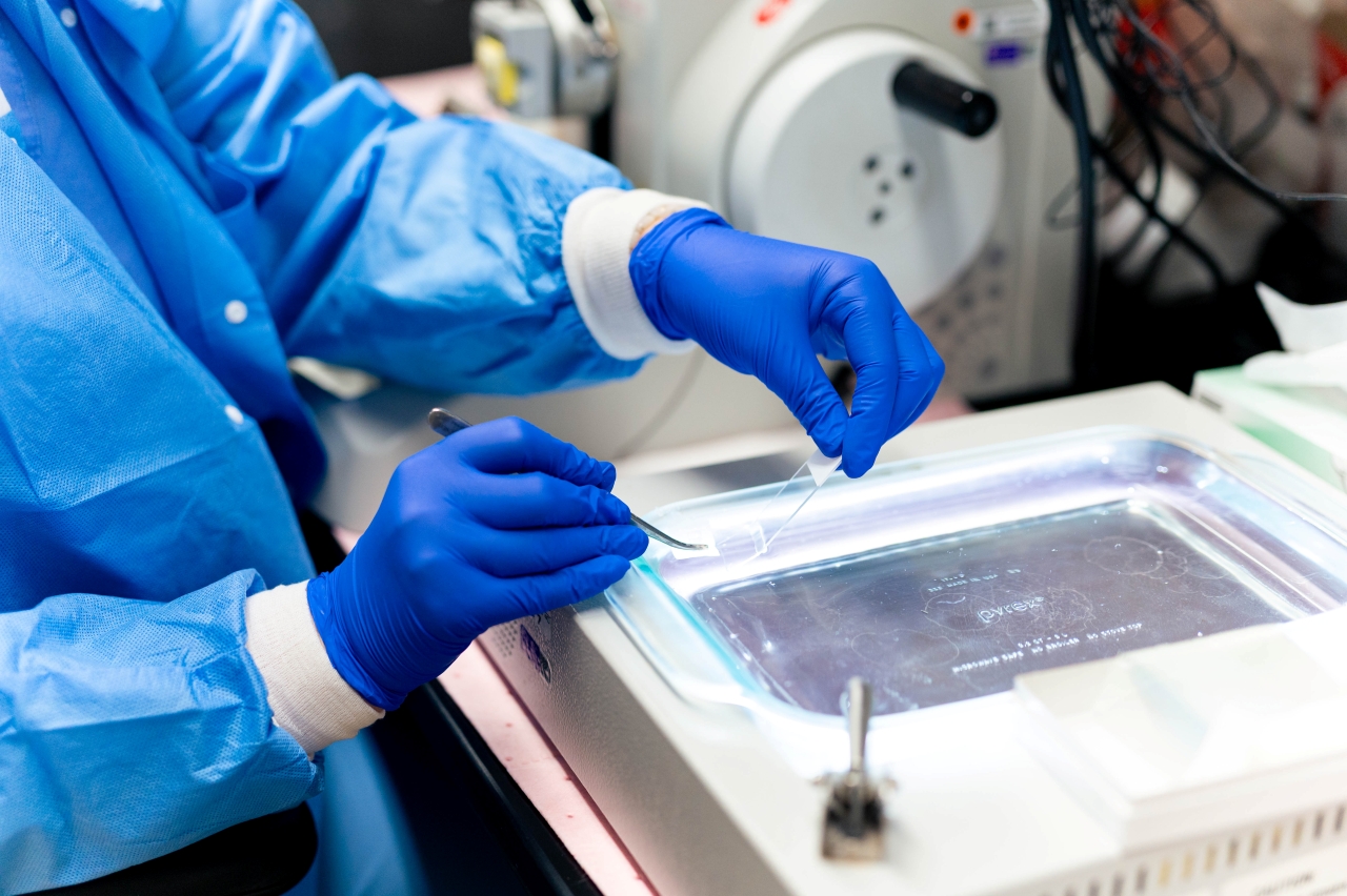 Lab specialist working. 