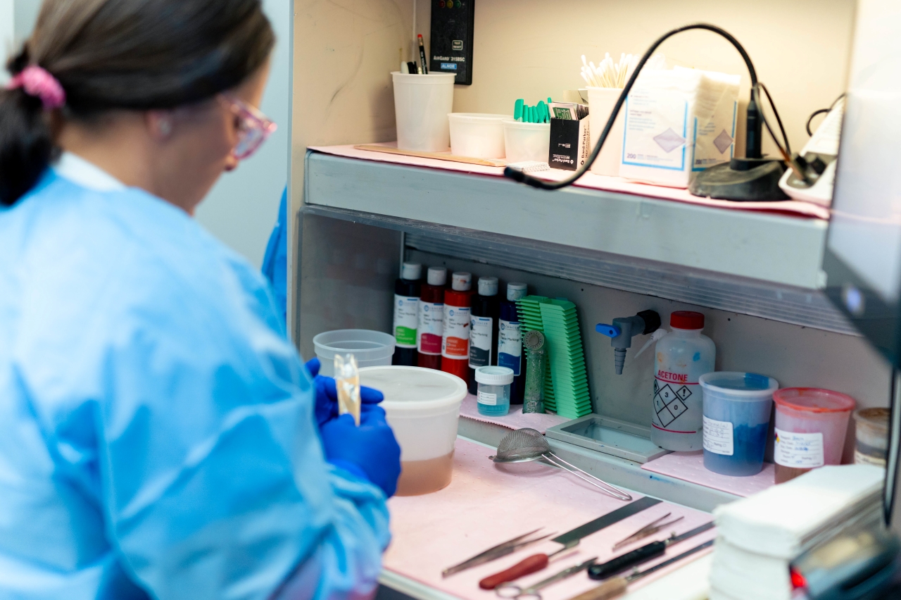 Specialist working in a lab environment.