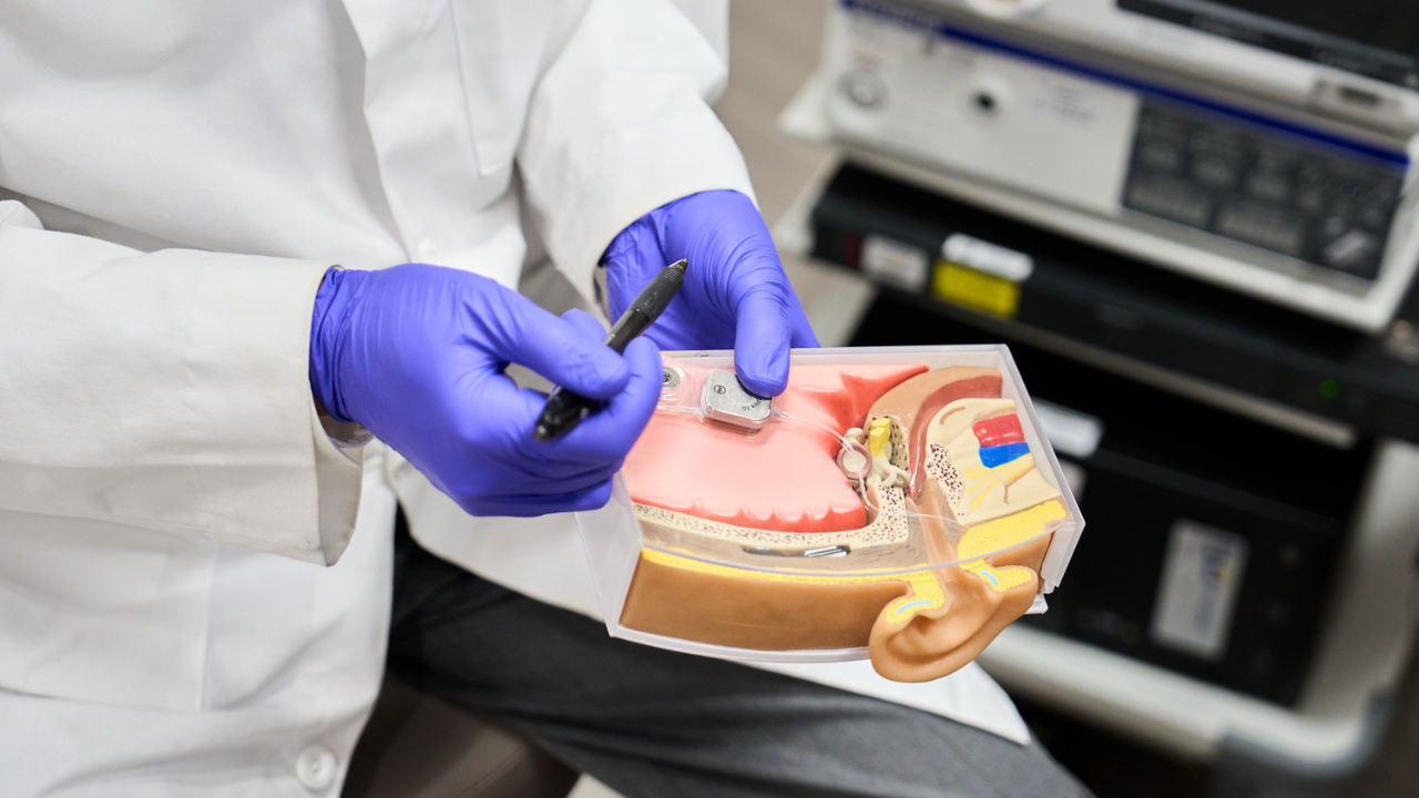 UC Health physician holds a model of a human ear