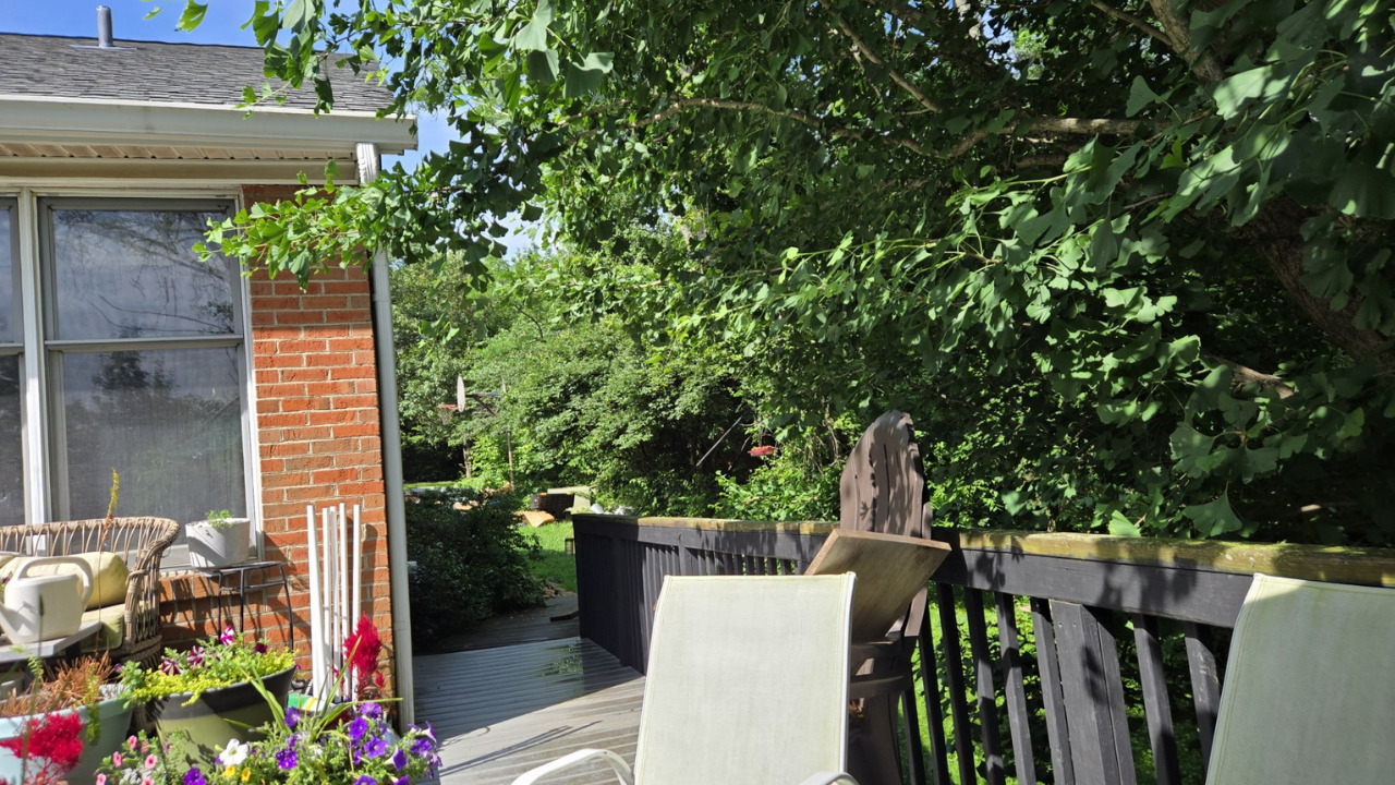 View of a lovely back yard with flowers and green trees