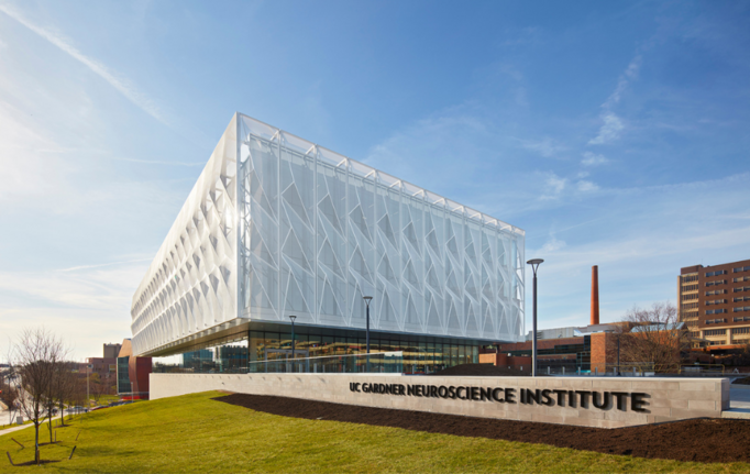 UC Gardner Neuroscience Renewed as NIH StrokeNet Leader for 5 More Years