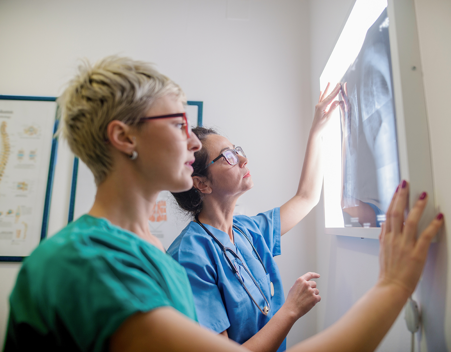 Physicians look at an image. 