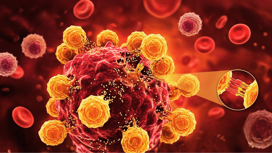 conceptual-TIL-therapy-on-a-microscopic-level