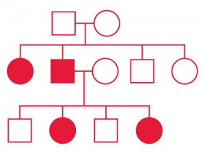 simple inheritance pattern within a family