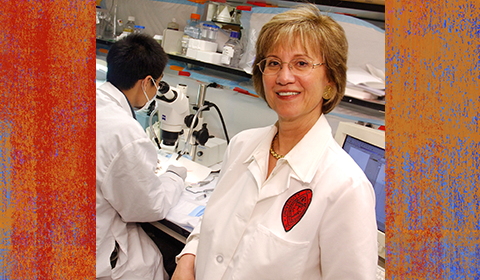 Kranias Receives Research Achievement Award