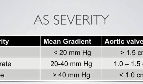 Transcatheter Aortic Valve Replacement (TAVR) Program