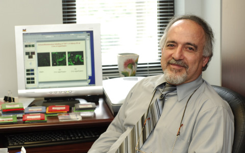 Researchers Find Thiazide May Pose Some Risk For Heart Failure Patients