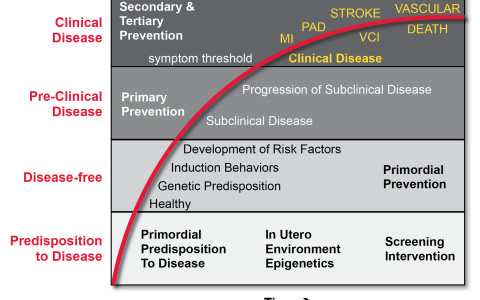 New Program Assesses Cardiovascular Risk In Utero, Cardiologist Nominated as FDA Commissioner