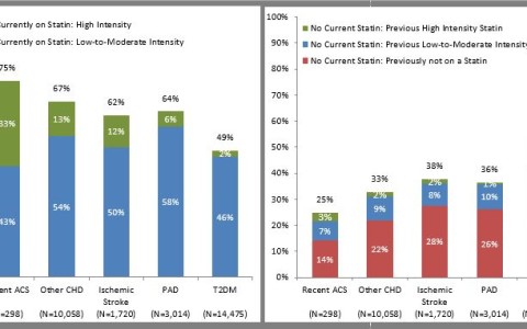 Recent Findings from a French General Practice Population Highlight Statin Underutilization in Patients with Severely Elevated Cardiovascular Risk