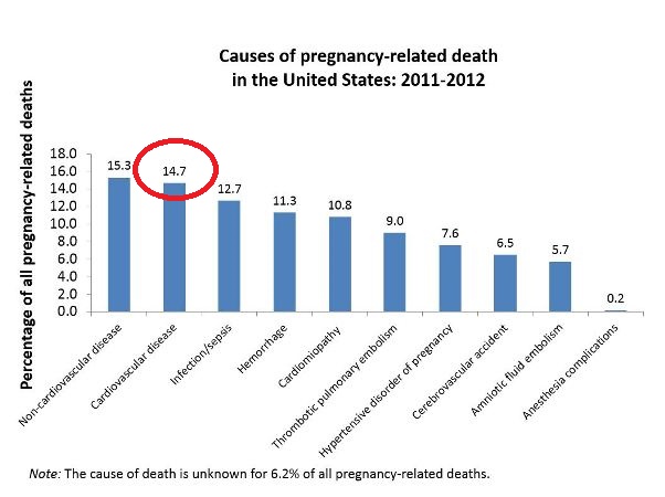 Cardiovascular disease is the second leading cause of pregnancy-related death in the United States
