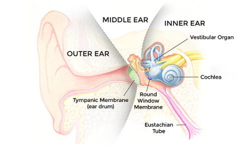 Injectable Medications to Shift the Treatment Paradigm for Middle and Inner Ear Diseases