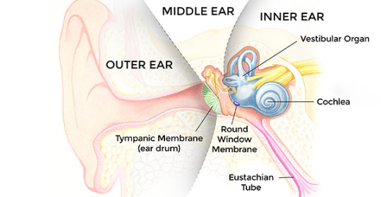 Injectable Medications to Shift the Treatment Paradigm for Middle and Inner Ear Diseases
