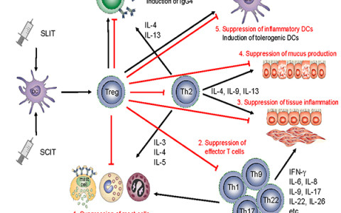 Intensive Training in Allergy Treatment Modalities Facilitates Administration of Sublingual Immunotherapy (SLIT)