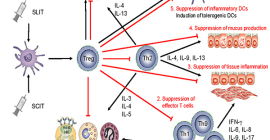 Intensive Training in Allergy Treatment Modalities Facilitates Administration of Sublingual Immunotherapy (SLIT)