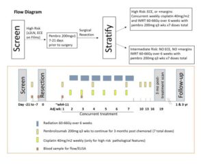 Schema for Pembrolizumab Trial