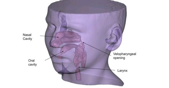 Experimental Modeling to Clarify Speech Disorders Due to VPI