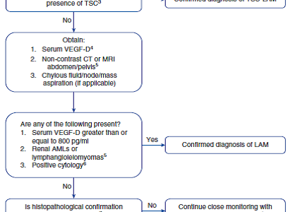 University of Cincinnati Faculty Lead Development of LAM Guidelines